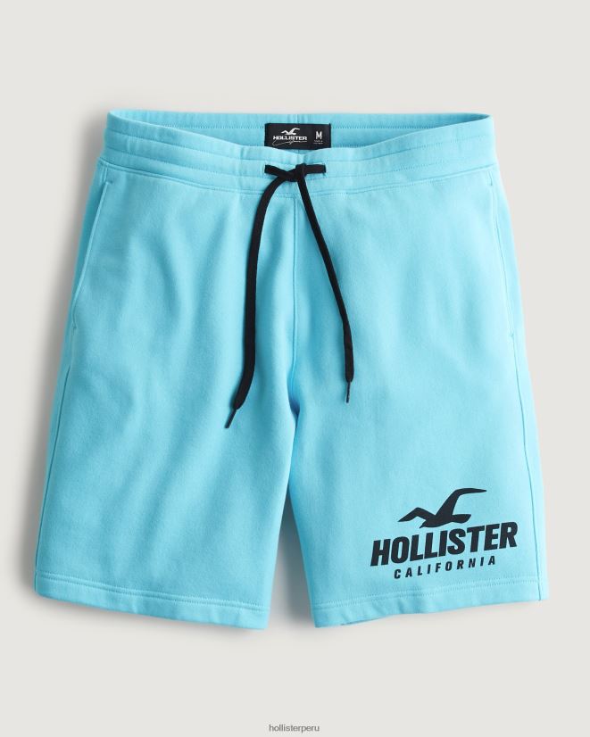 educación física Hollister shorts de polar con gráfico de logo 9'' turquesa 086N621163 hombres fondos