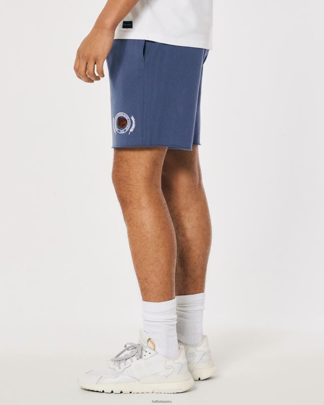 educación física Hollister shorts de polar con gráfico universitario de 7\'\' Armada 086N621340 hombres fondos