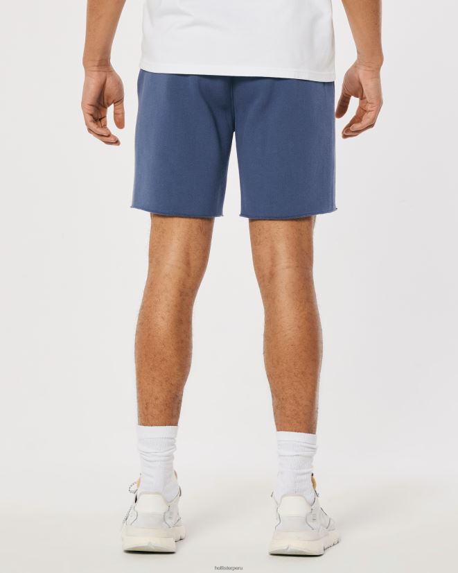 educación física Hollister shorts de polar con gráfico universitario de 7\'\' Armada 086N621340 hombres fondos