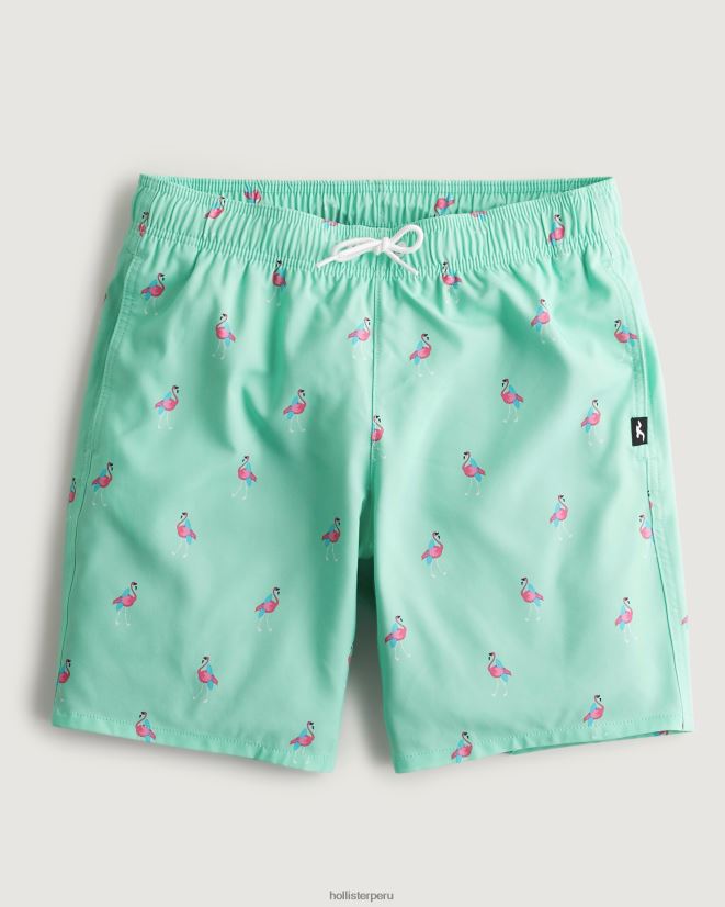 educación física Hollister traje de baño de guardia 7'' estampado de menta 086N621395 hombres fondos