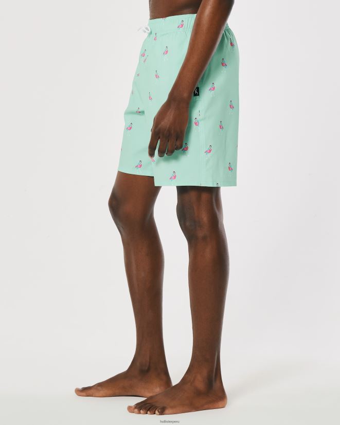 educación física Hollister traje de baño de guardia 7\'\' estampado de menta 086N621395 hombres fondos