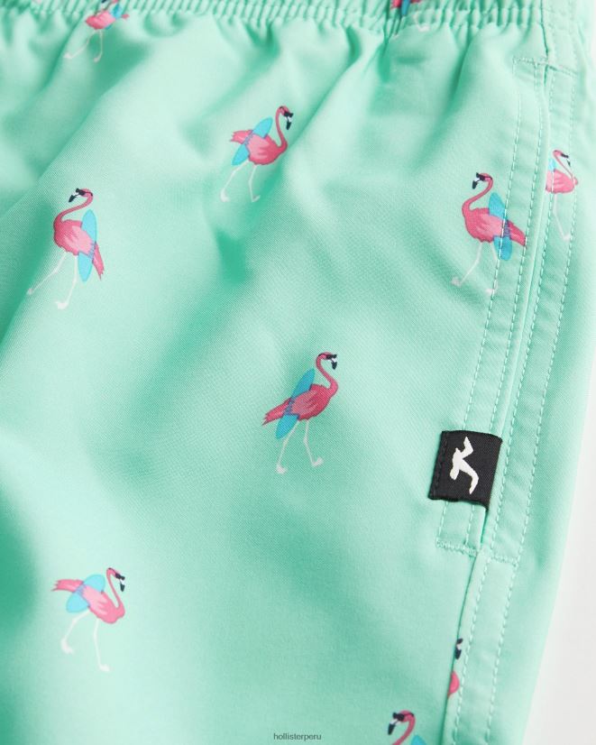 educación física Hollister traje de baño de guardia 7\'\' estampado de menta 086N621395 hombres fondos