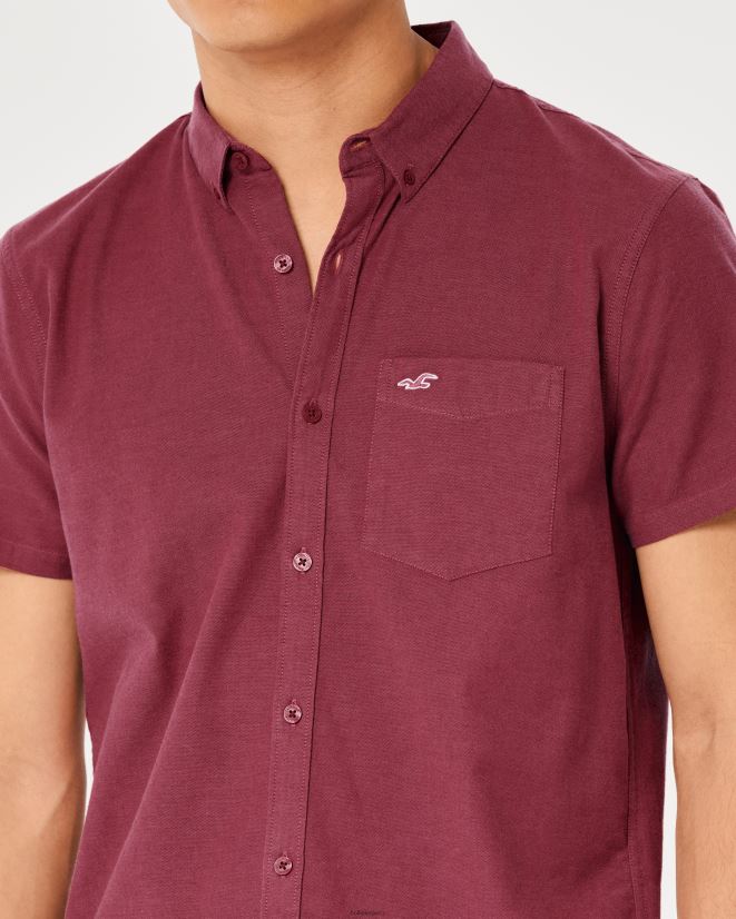 educación física Hollister camisa oxford de manga corta con ícono del logo borgoña 086N62902 hombres tapas