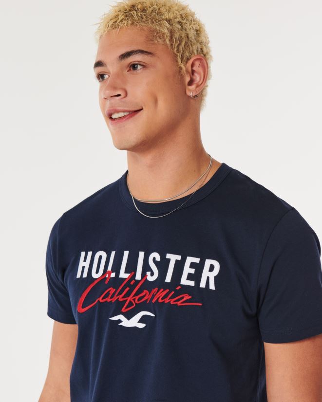 educación física Hollister camiseta con gráfico del logo Armada 086N62975 hombres tapas
