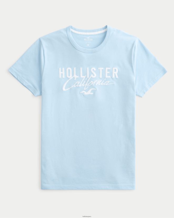 educación física Hollister camiseta con gráfico del logo azul claro 086N62946 hombres tapas