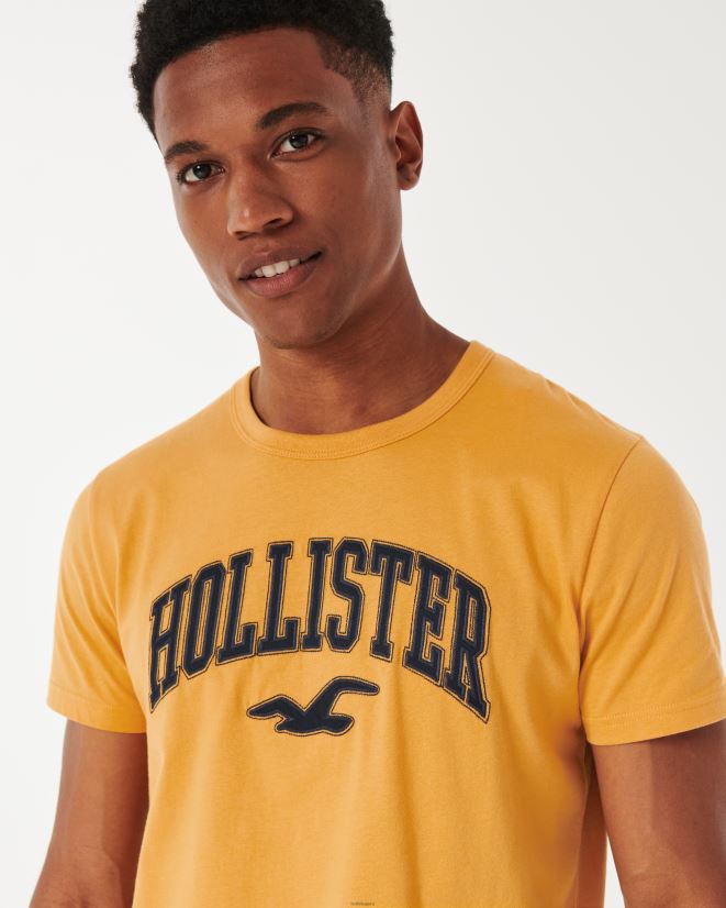 educación física Hollister camiseta con gráfico del logo del equipo universitario amarillo oscuro 086N62885 hombres tapas
