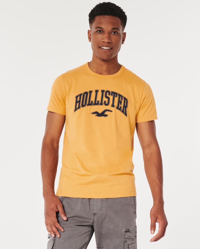 educación física Hollister camiseta con gráfico del logo del equipo universitario amarillo oscuro 086N62885 hombres tapas