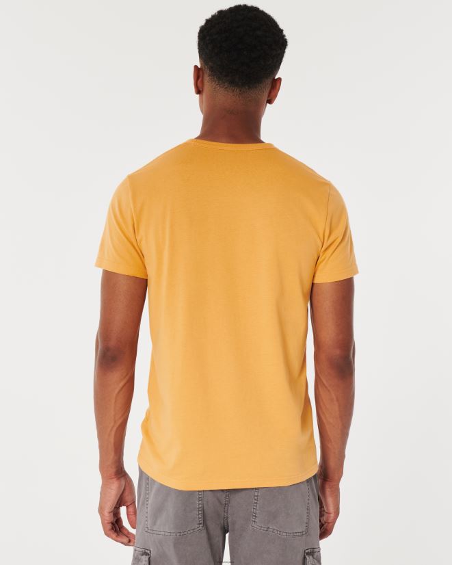 educación física Hollister camiseta con gráfico del logo del equipo universitario amarillo oscuro 086N62885 hombres tapas