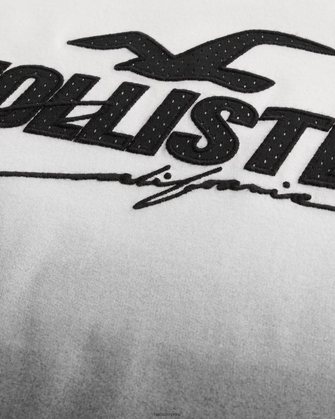 educación física Hollister camiseta con gráfico sombreado y aplique de logo de malla ombre de blanco a negro 086N62850 hombres tapas