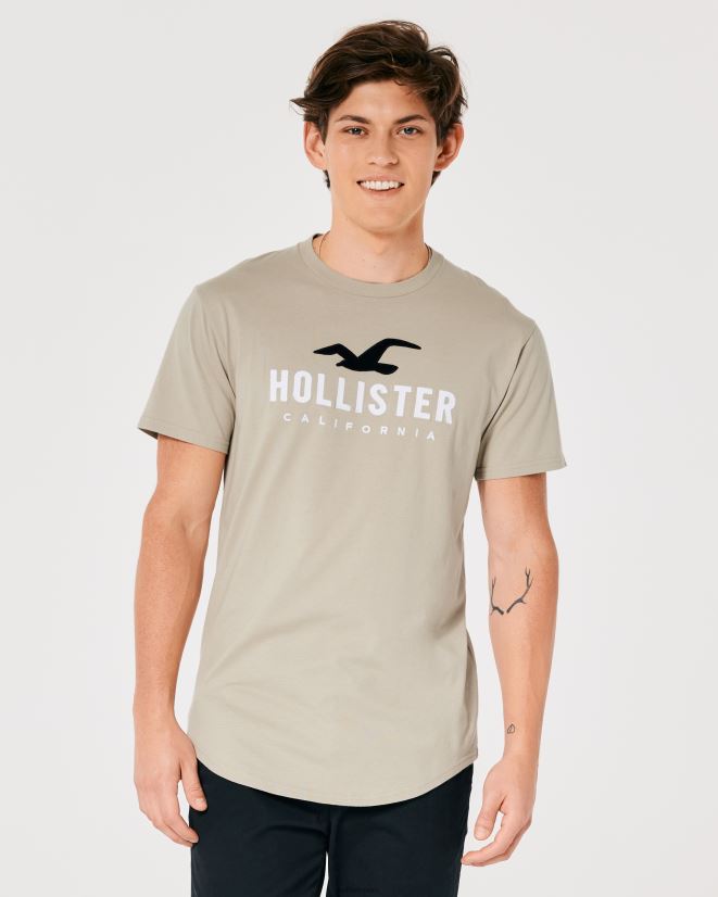 educación física Hollister camiseta gráfica con logo en el dobladillo redondeado broncearse 086N62868 hombres tapas