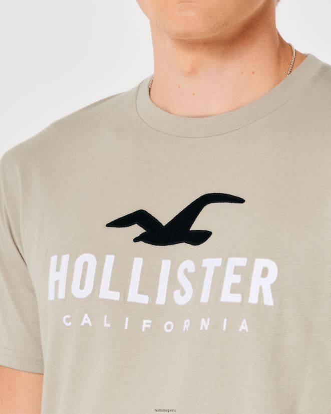 educación física Hollister camiseta gráfica con logo en el dobladillo redondeado broncearse 086N62868 hombres tapas