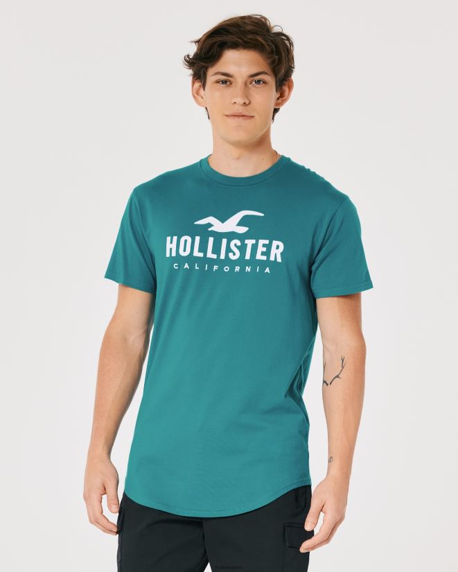 educación física Hollister camiseta gráfica con logo en el dobladillo redondeado verde azulado oscuro 086N62870 hombres tapas