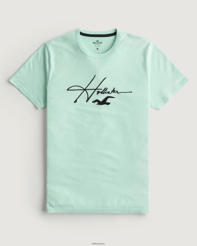 educación física Hollister playera con estampado del logo de la firma menta 086N62927 hombres tapas