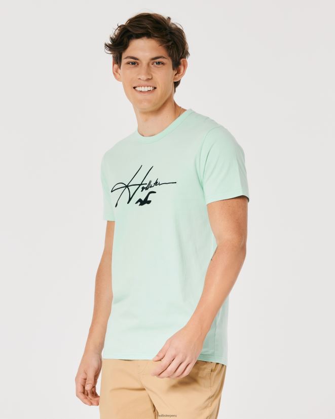 educación física Hollister playera con estampado del logo de la firma menta 086N62927 hombres tapas