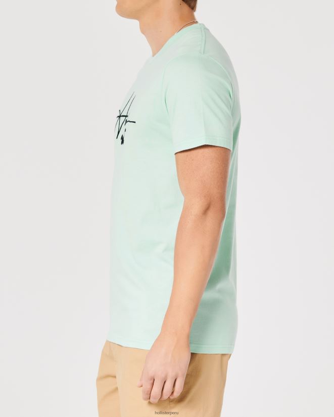 educación física Hollister playera con estampado del logo de la firma menta 086N62927 hombres tapas