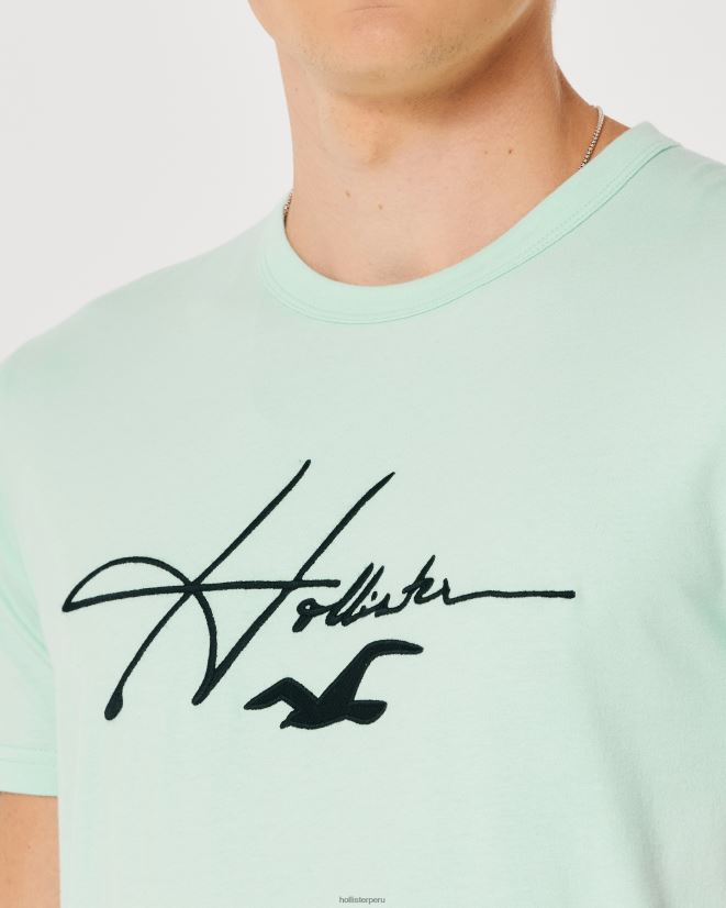 educación física Hollister playera con estampado del logo de la firma menta 086N62927 hombres tapas