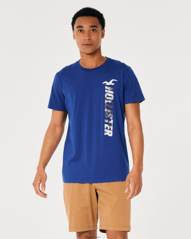 educación física Hollister playera de algodón con logo gráfico azul 086N62967 hombres tapas