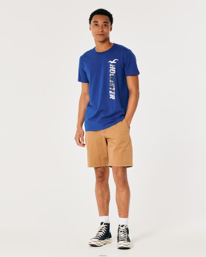 educación física Hollister playera de algodón con logo gráfico azul 086N62967 hombres tapas