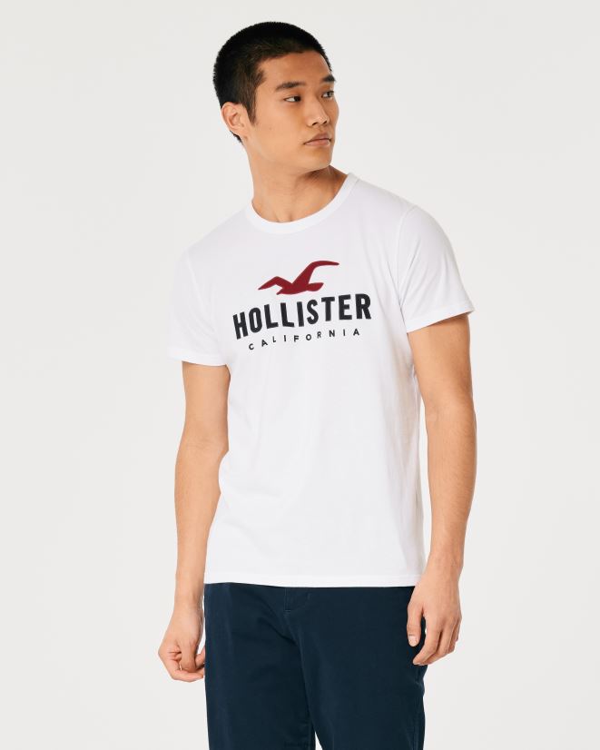 educación física Hollister playera de algodón con logo gráfico blanco 086N62971 hombres tapas