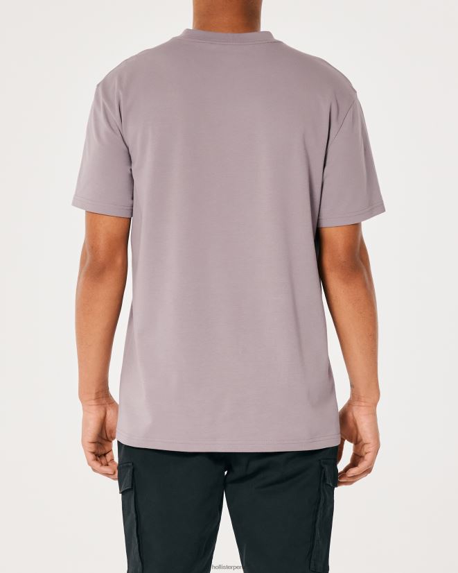 educación física Hollister camiseta refrescante relajada púrpura 086N62950 hombres tapas