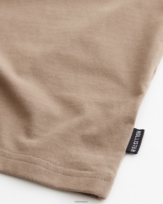 educación física Hollister camiseta relajada de peso pesado marrón 086N621031 hombres tapas