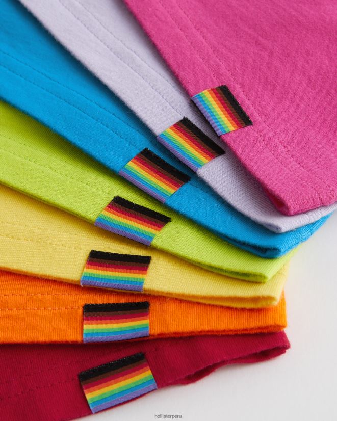 educación física Hollister equipo del logotipo del orgullo camisetas multi 7 brillante 086N6274 hombres tapas