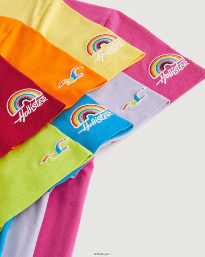 educación física Hollister equipo del logotipo del orgullo camisetas multi 7 brillante 086N6274 hombres tapas