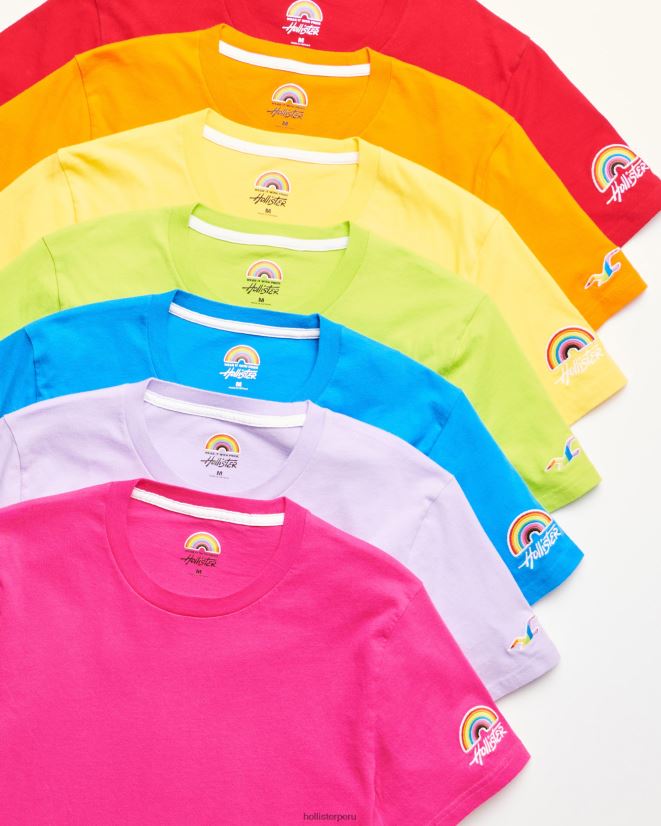 educación física Hollister equipo del logotipo del orgullo camisetas multi 7 brillante 086N6274 hombres tapas