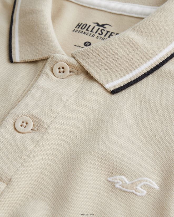 educación física Hollister polo con ícono en el cuello cuero gris 086N62991 hombres tapas