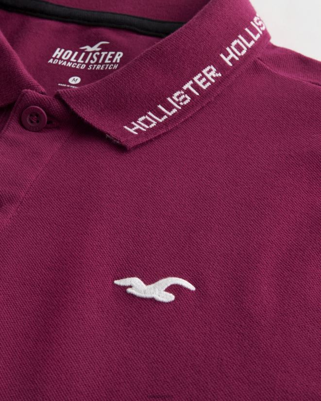 educación física Hollister polo con logo en la punta borgoña 086N621079 hombres tapas