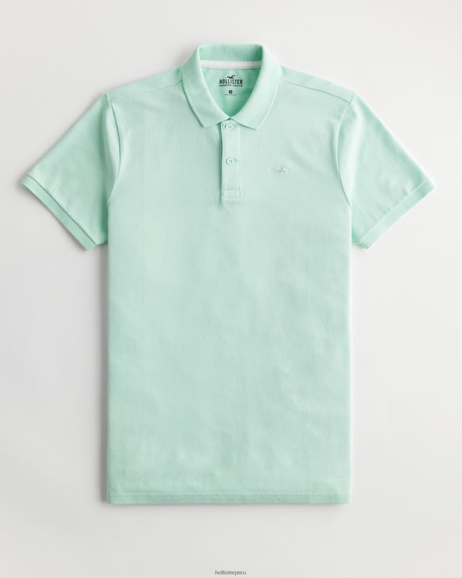 educación física Hollister polo icono del logotipo menta 086N62804 hombres tapas