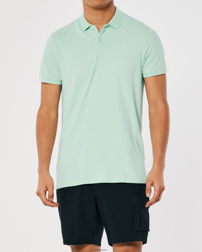 educación física Hollister polo icono del logotipo menta 086N62804 hombres tapas