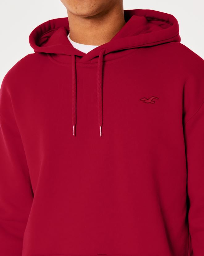 educación física Hollister sudadera con capucha con icono de sentirse bien rojo 086N62993 hombres tapas
