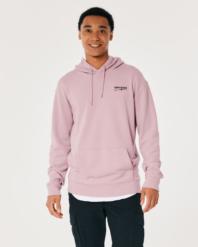 educación física Hollister sudadera con capucha y logo Rosa oscuro 086N62832 hombres tapas