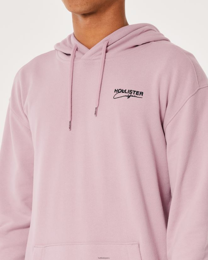 educación física Hollister sudadera con capucha y logo Rosa oscuro 086N62832 hombres tapas