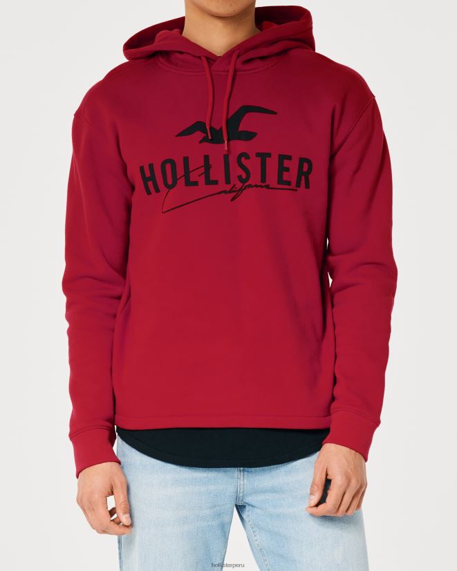 educación física Hollister sudadera con capucha y logo gráfico rojo 086N621034 hombres tapas