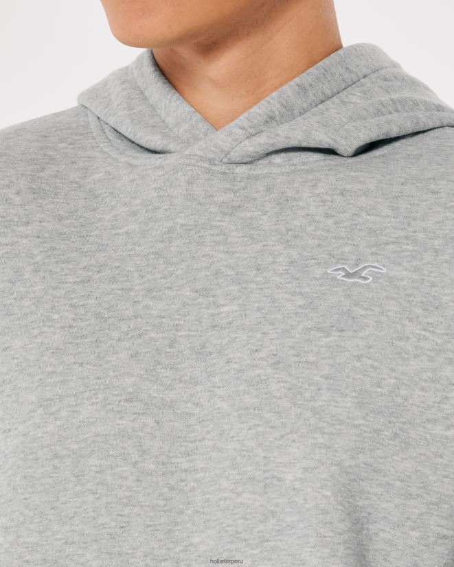 educación física Hollister sudadera con capucha y logo icónico cuero gris 086N62896 hombres tapas