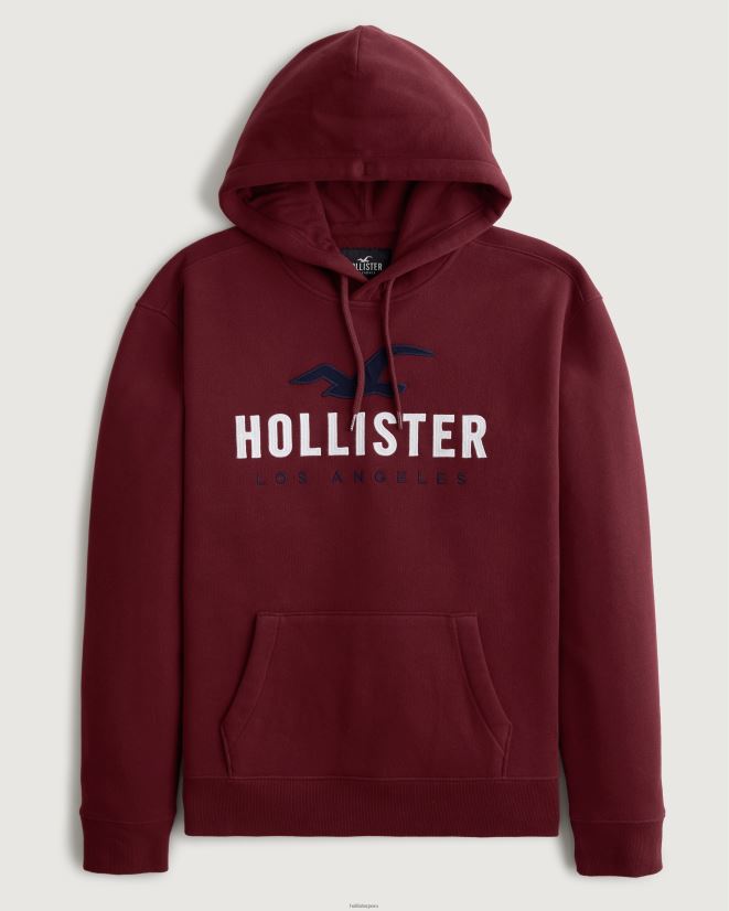 educación física Hollister sudadera con capucha y logo gráfico borgoña 086N62988 hombres tapas