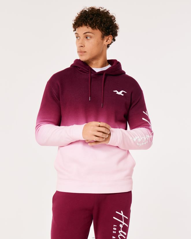 educación física Hollister sudadera con capucha y logo sombreado burdeos a rosa ombre 086N621043 hombres tapas