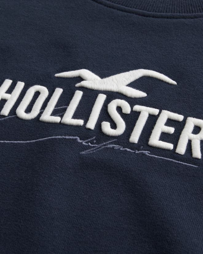 educación física Hollister sudadera holgada con logo Armada 086N62865 hombres tapas