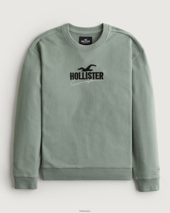 educación física Hollister sudadera holgada con logo sabio 086N62845 hombres tapas