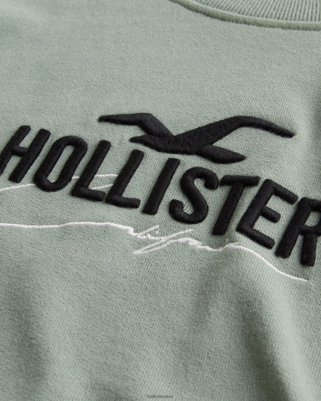 educación física Hollister sudadera holgada con logo sabio 086N62845 hombres tapas
