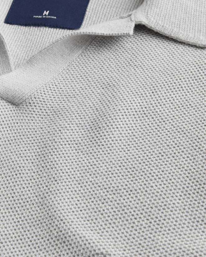 educación física Hollister polo con cuello johnny gris 086N62792 hombres tapas