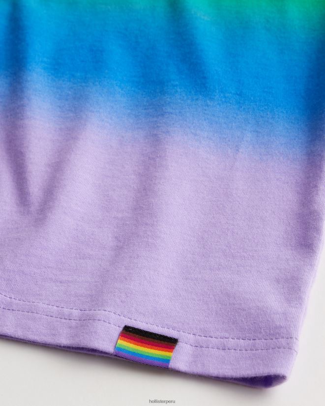 educación física Hollister orgullo relajado ombre camiseta de tripulación multi 086N62176 mujer tapas